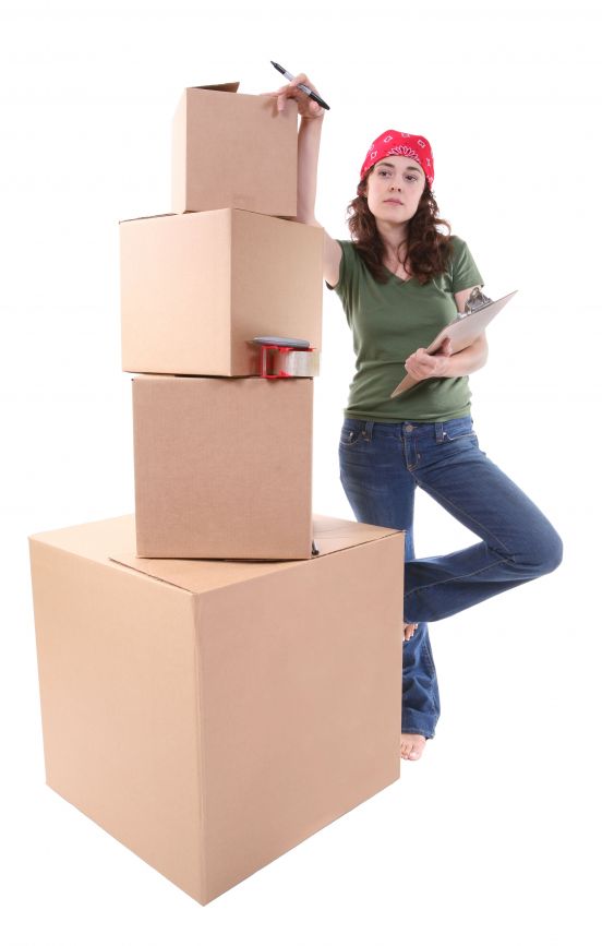 Florida Movers—Moving Companies in The Tampa Area