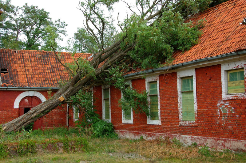 3 Steps to Take After a Storm Damages Your Albuquerque, NM, Home