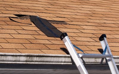 Top Problems Needing Roof Replacement in Milwaukee, WI